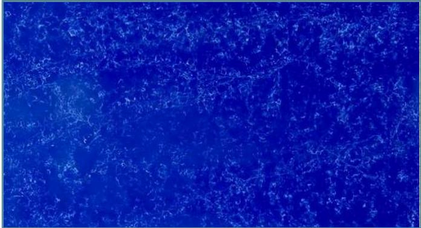 Blue Galaxy engineered quartz surface